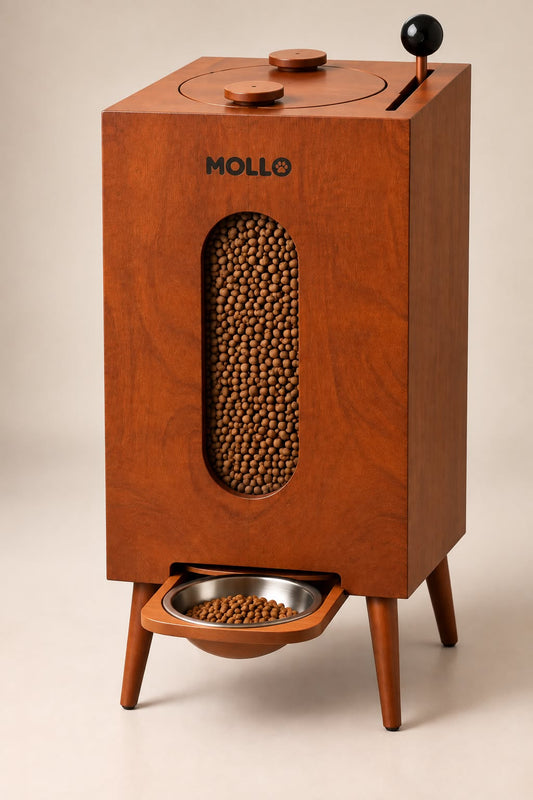 MOLLO - Dispensador de alimento para perros